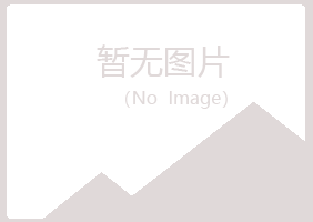 揭阳夏日能源有限公司